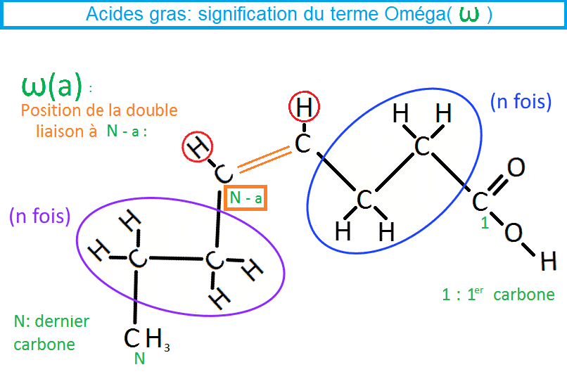 AG insaturés explication terme Omega