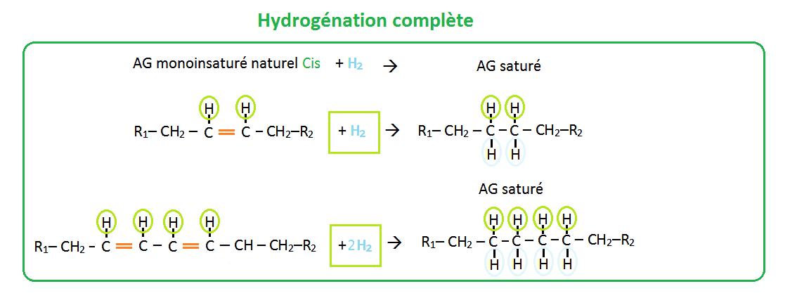 Schéma hydrogénation complète des acides gras Cis Schéma hydrogénation complète des acides gras Cis