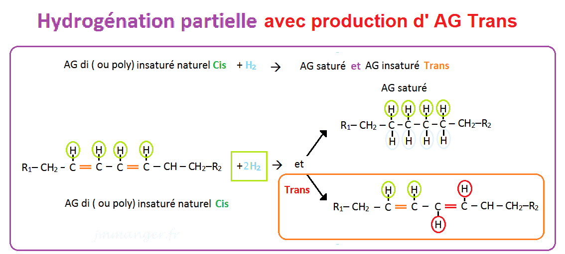 Schéma hydrogénation partielle et production d'acides gras insaturés trans Schéma hydrogénation partielle et production d'acides gras insaturés trans