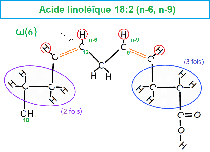 AG linoléïque Omega6 Cis
