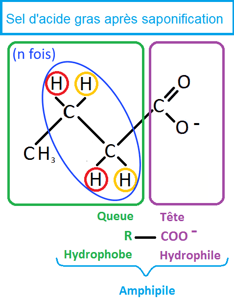 Schéma saponification