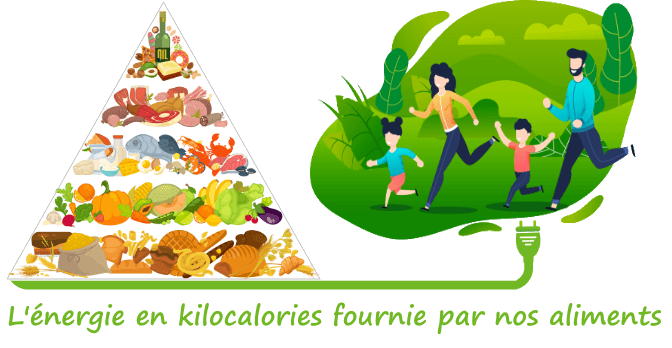 Repas, calcul en kilocalorie Repas, calcul en kilocalorie