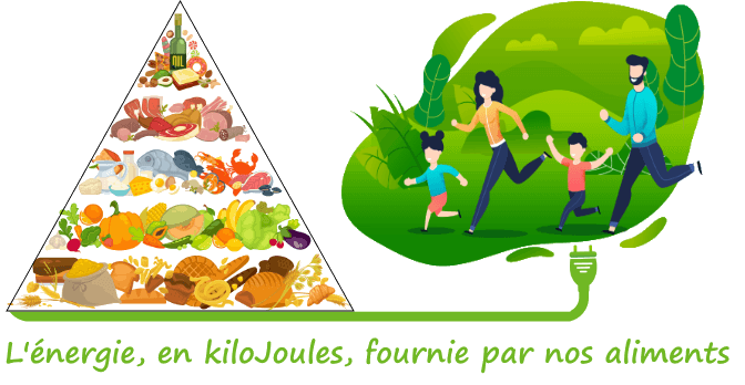Repas, calcul en kilocalorie Repas, calcul en kilocalorie