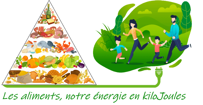 Apport de l'énergie en kiloJoules de notre alimentation